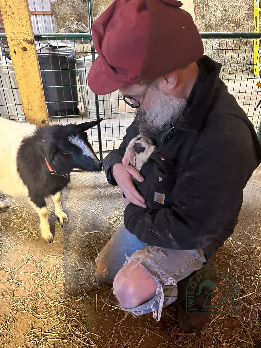 George with Apple Dumplin the goat